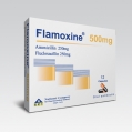 Flamoxine® 500